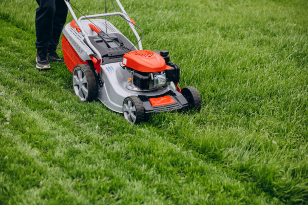 lawn-maintenance-uae