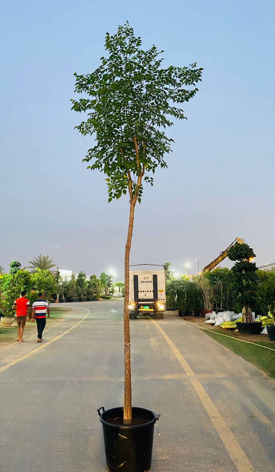 WhatsApp Image 2025-08-17 at 21.10.53_b9d65111