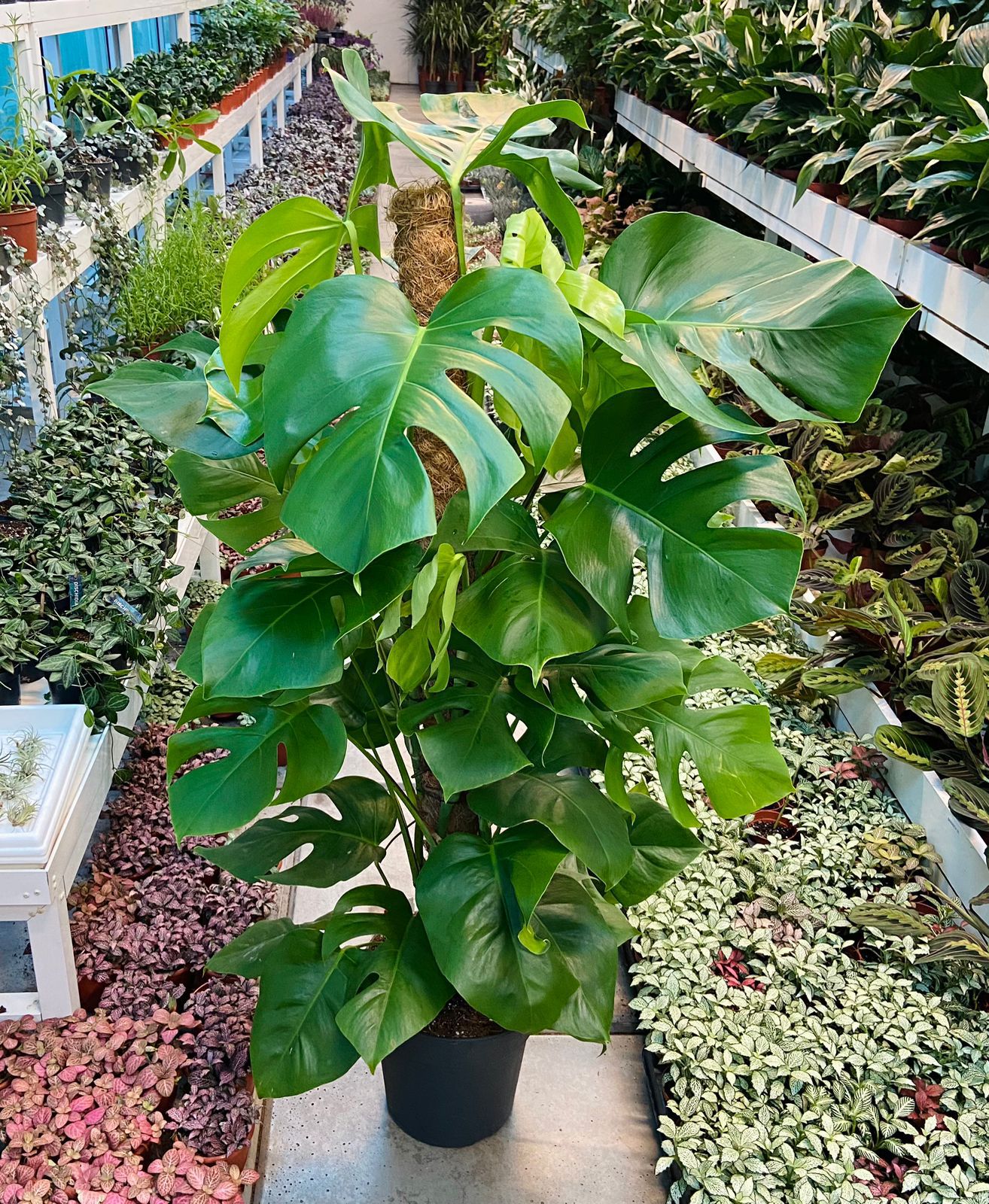 WhatsApp Image 2025-08-26 at 19.43.32_e0660521