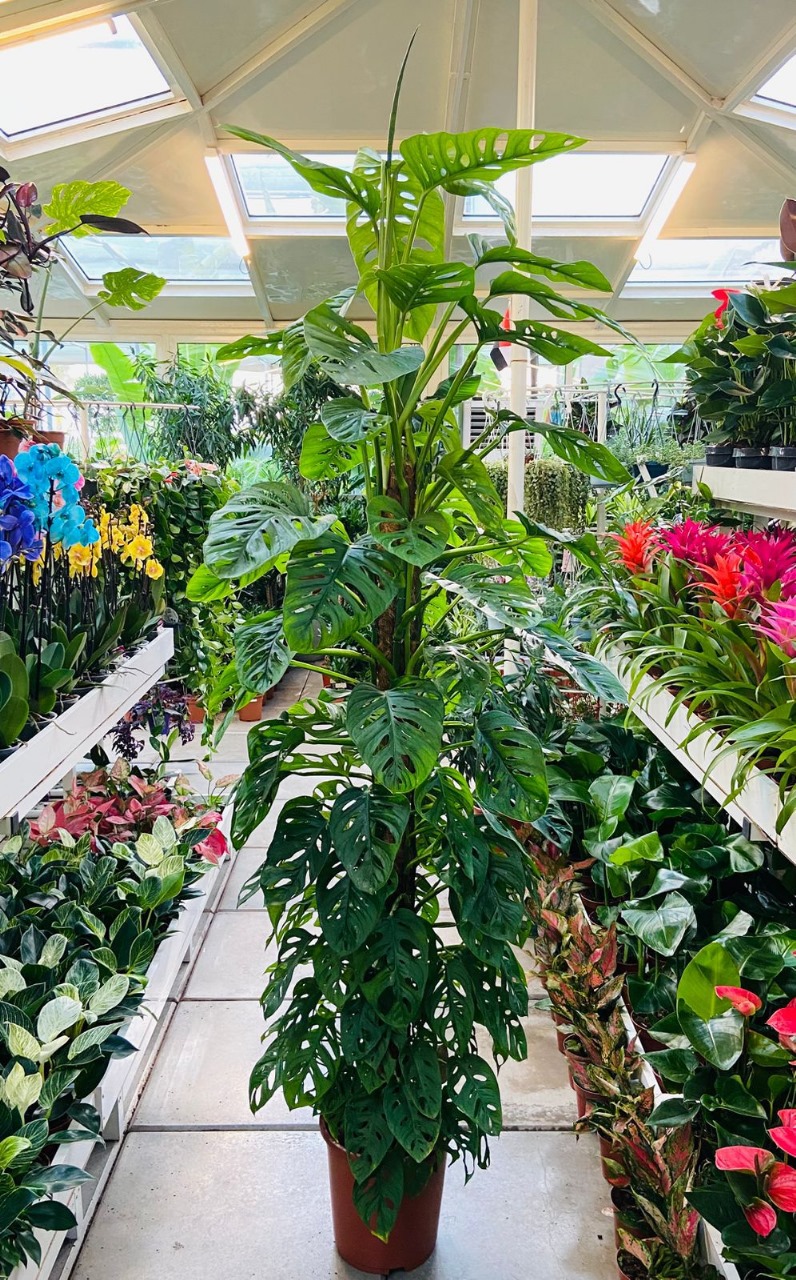 WhatsApp Image 2025-08-28 at 5.30.01 PM