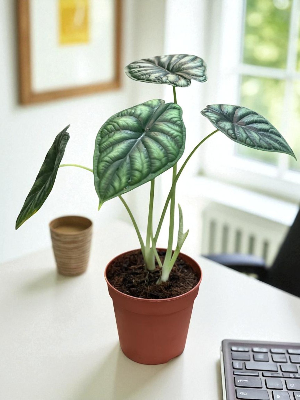 WhatsApp Image 2025-08-30 at 8.09.34 PM (1)