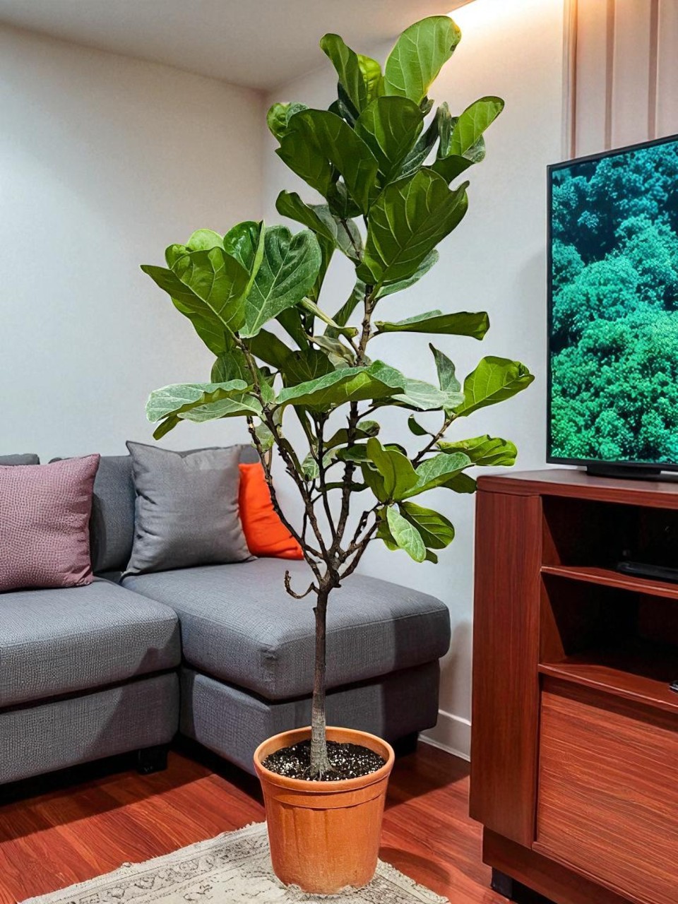 WhatsApp Image 2025-08-30 at 8.09.34 PM (7)