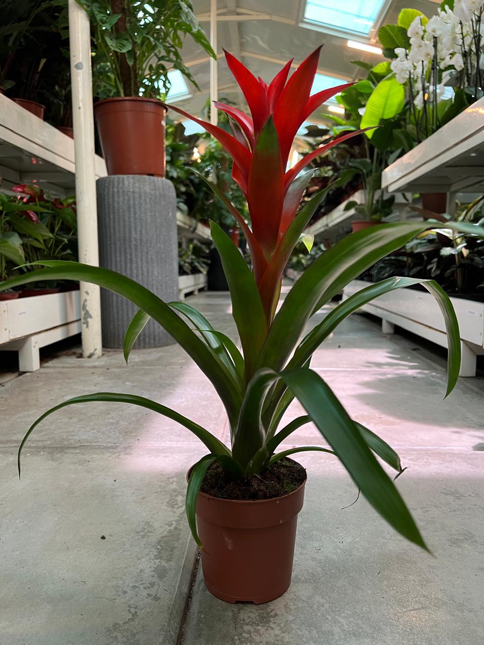 WhatsApp Image 2025-09-29 at 11.19.41 AM