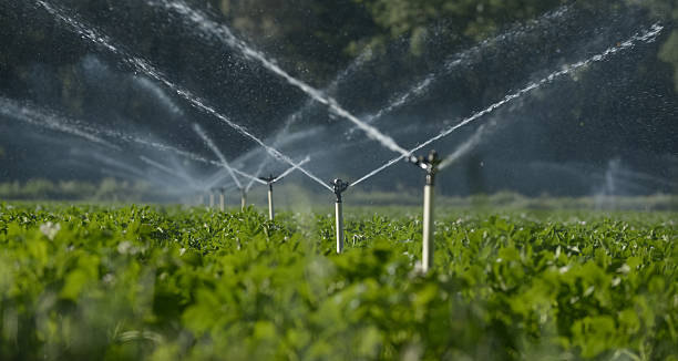 Irrigation Systems - Image 3