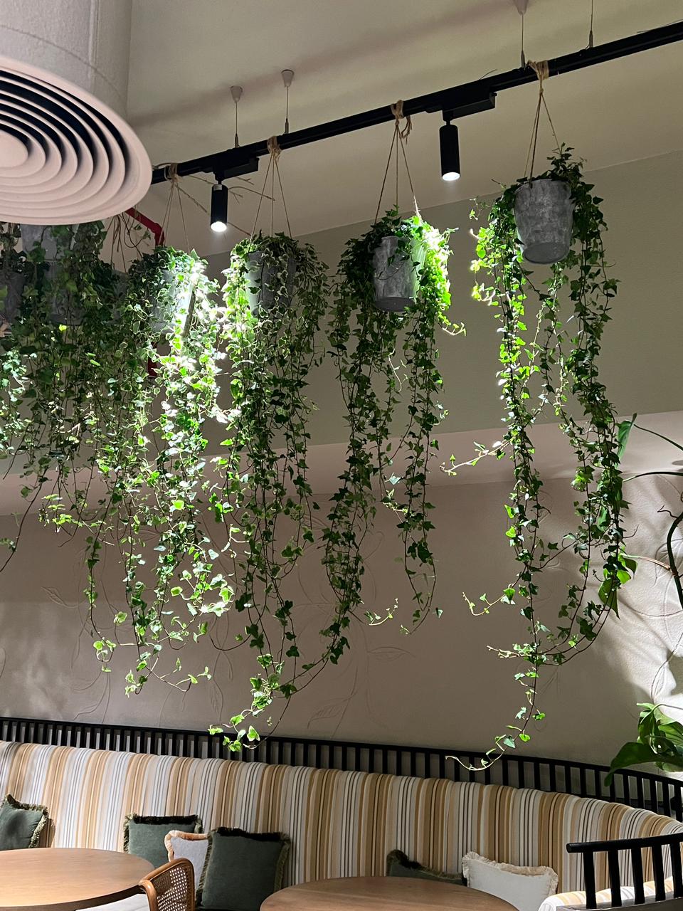 WhatsApp Image 2025-09-10 at 7.58.59 AM (19)