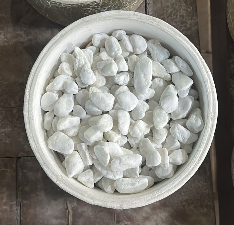 WhatsApp Image 2025-10-02 at 7.30.21 PM