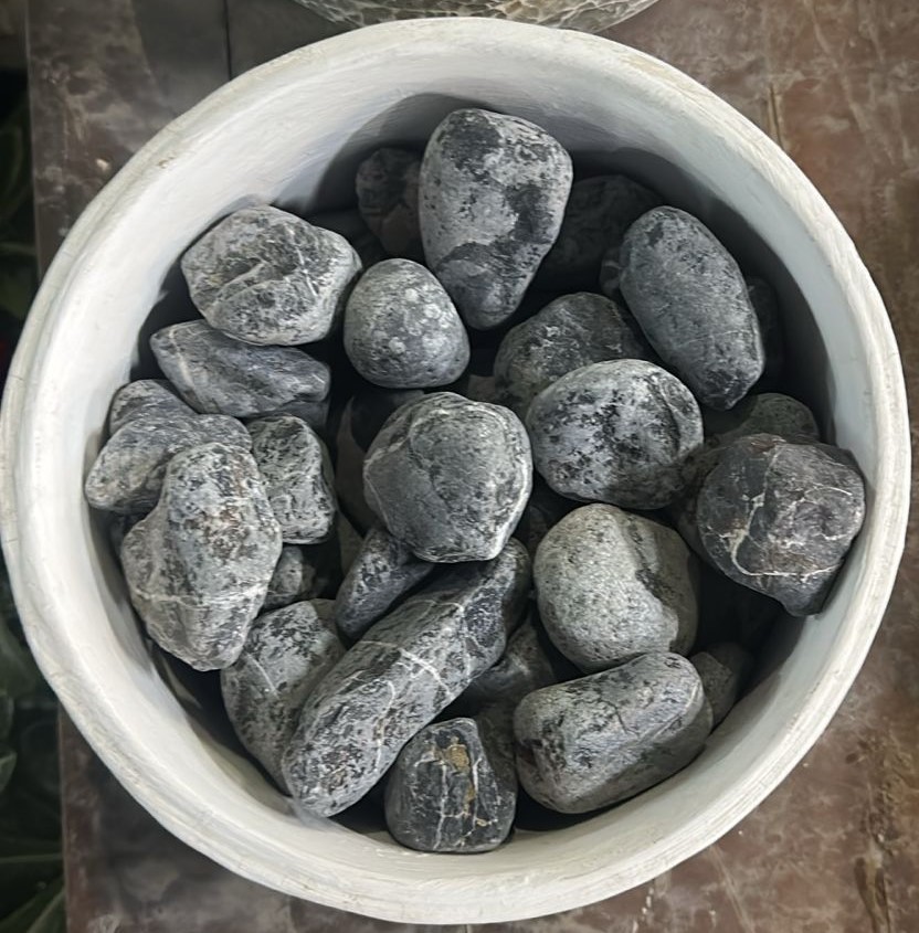 WhatsApp Image 2025-10-02 at 7.31.54 PM