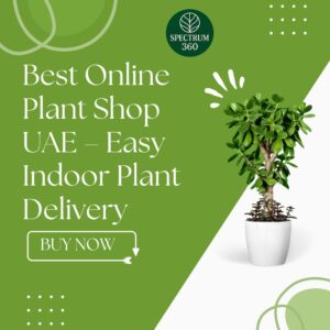 online plant shop