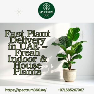 plant delivery