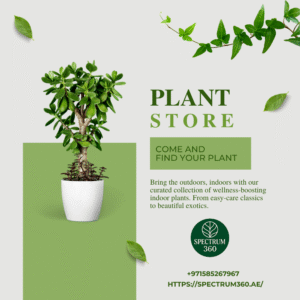 online plant store