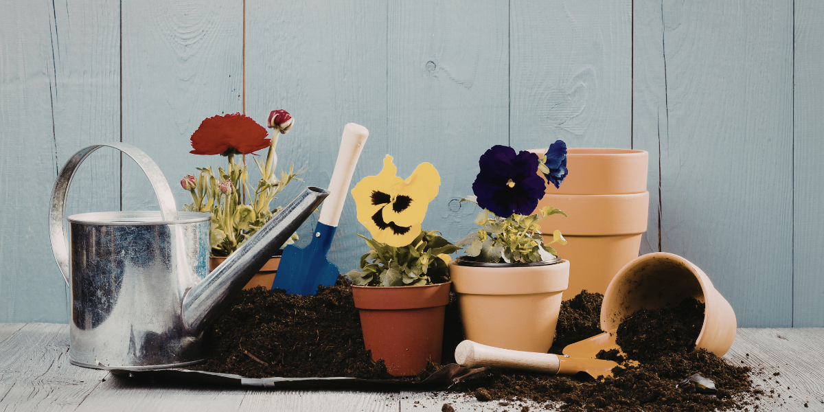 Ready-Made Potting Mix vs DIY Soil Mix: Which Should You Choose?