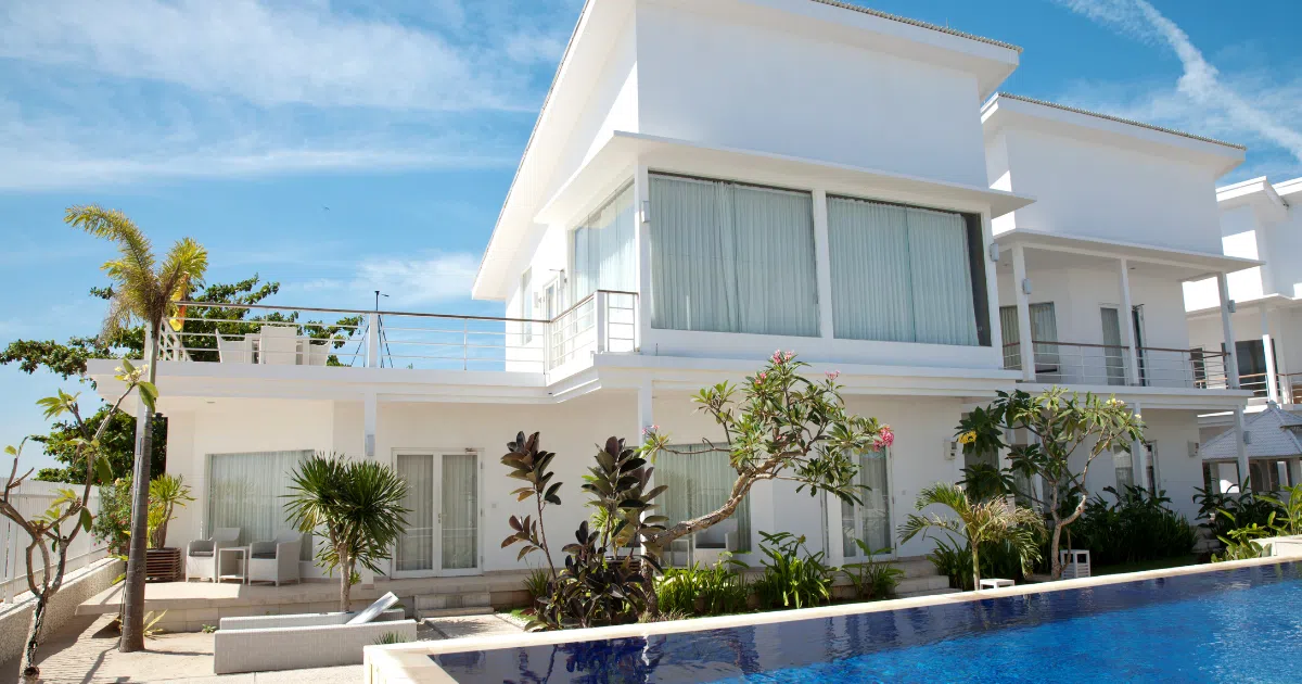 Does Areca Palm Purify Air?