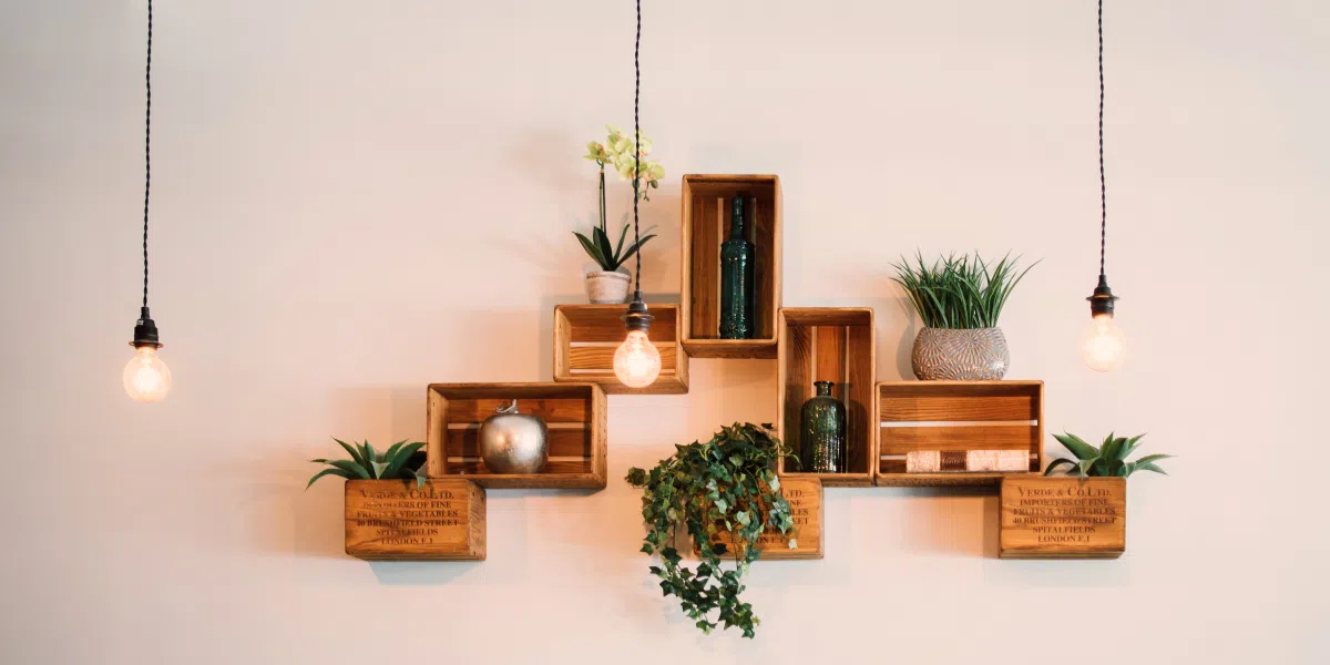 How can professionals help style indoor plants in apartments?