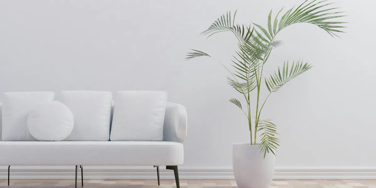 What are the best plant pots and planters for 2026 décor trends?