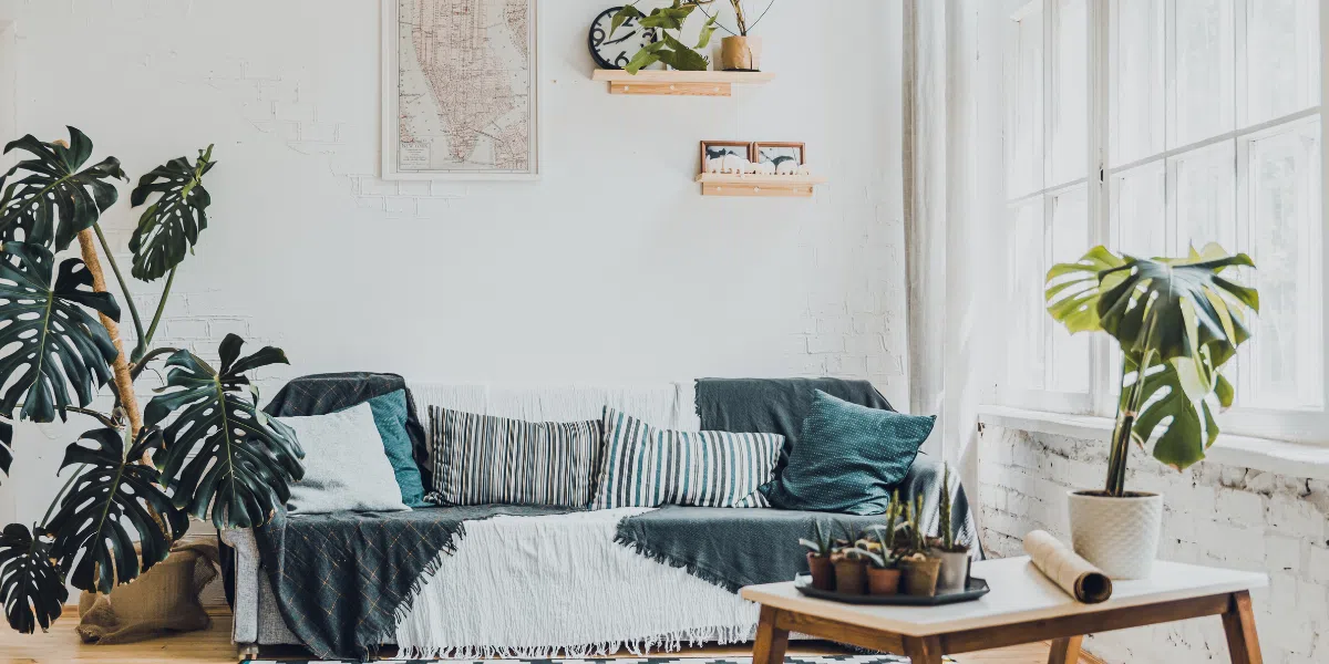 Which indoor plants work best as statement pieces in apartments?