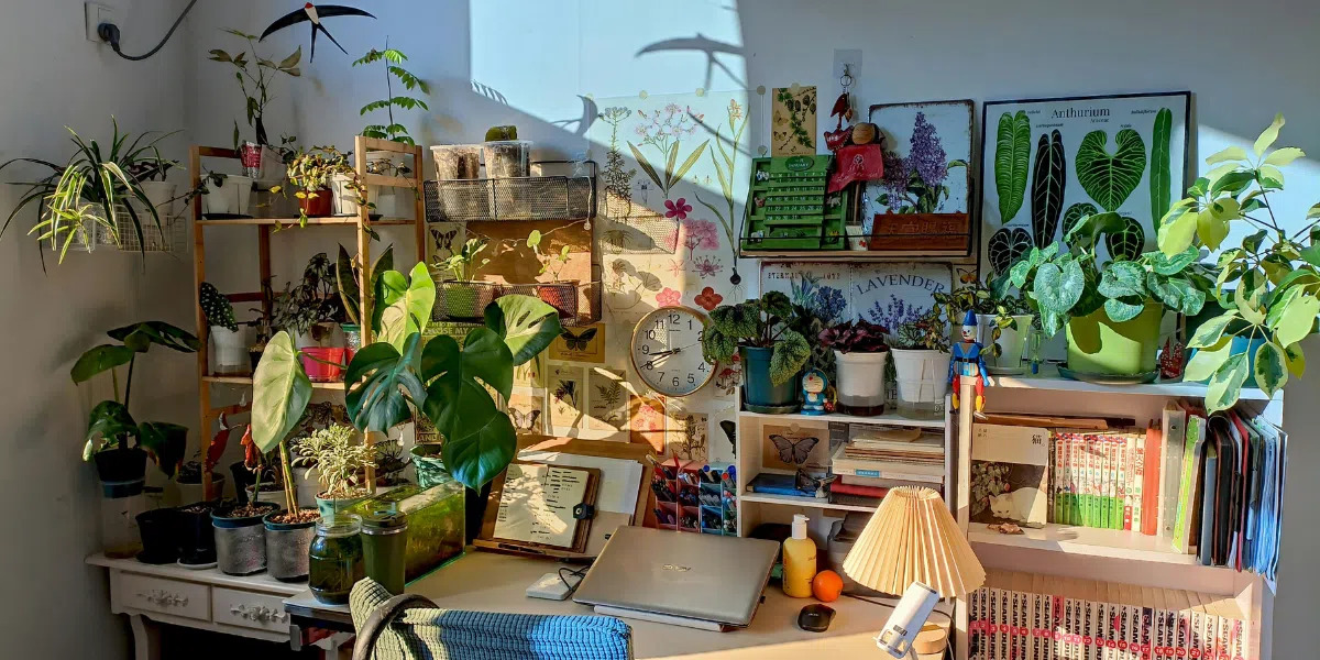 How to Choose the Right Indoor Landscape Plants