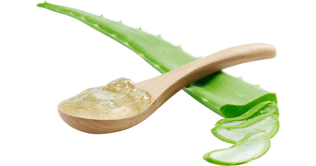 Aloe Vera Benefits for Hair