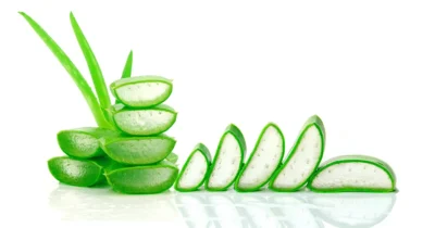 aloe-vera-benefits-for-skin,-hair,-and-health