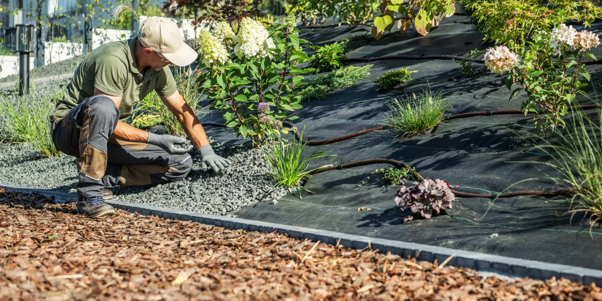 Hardscape vs Softscape: Key Differences