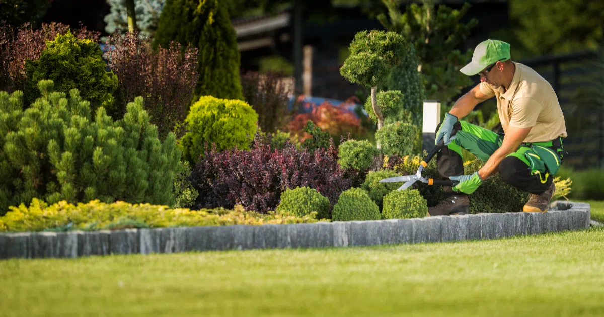 Landscaping Maintenance Cost in Dubai